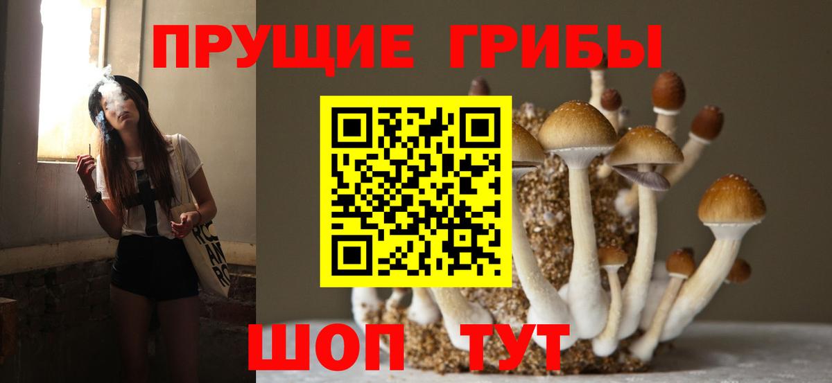 Галлюциногенные грибы прущие грибы Вольск